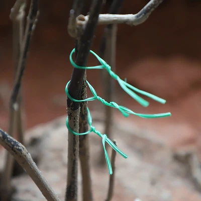 Garden twist tie Garden twist tie